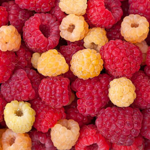 Framboise